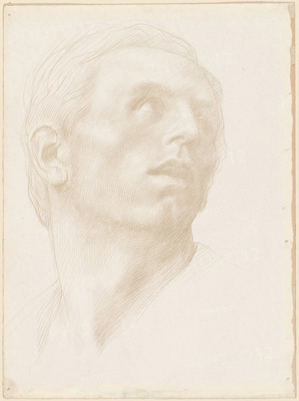 Head of a Man Looking Up to the Right, 1890s?.