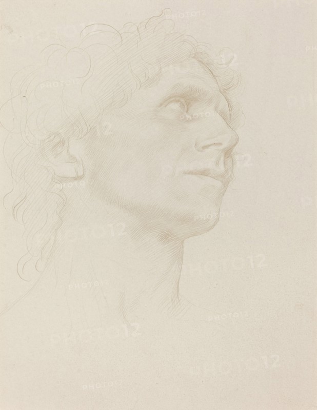 Study of Woman's Head, Turned Right.