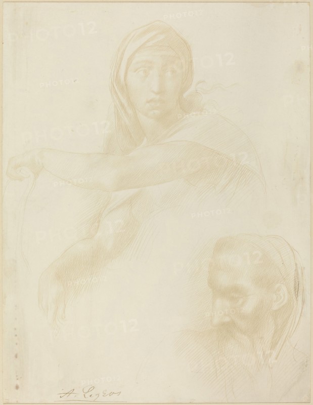 Study of Delphic Sibyl; Head of a Man.