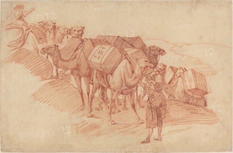 Camel Caravan.