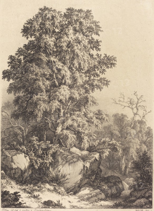 Beech Grove, 1840.