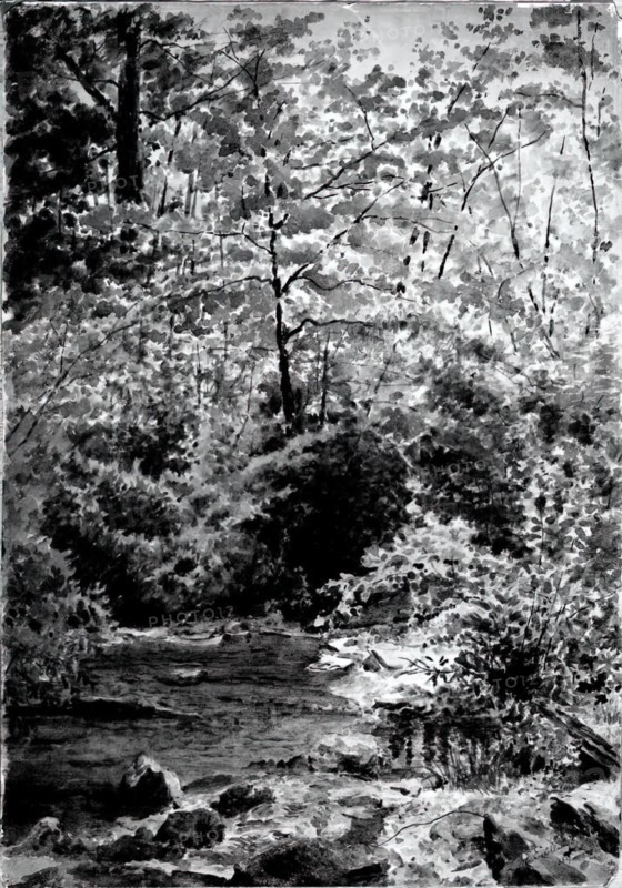 In The Woods, 1889.