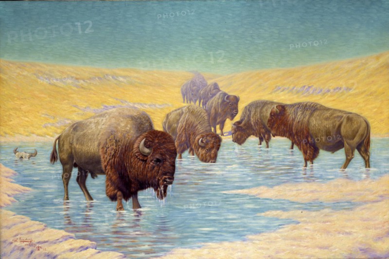 Buffalo Scene, 1922.