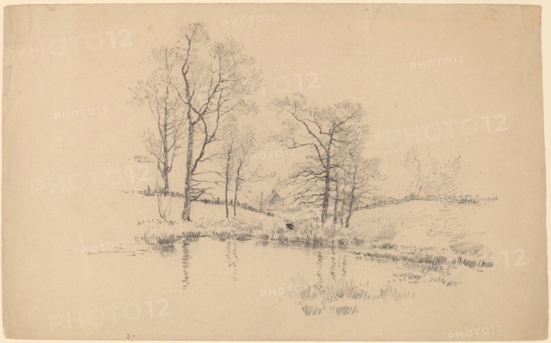 Meadow Pond, New York.