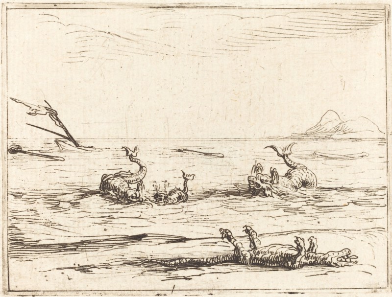 Dolphins and Crocodile.