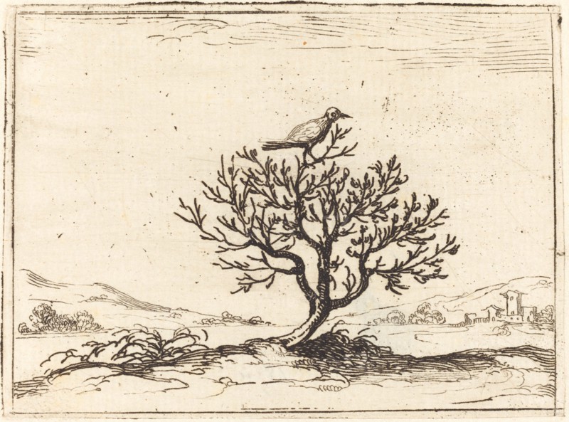 Nightingale in a Bush, 1628.