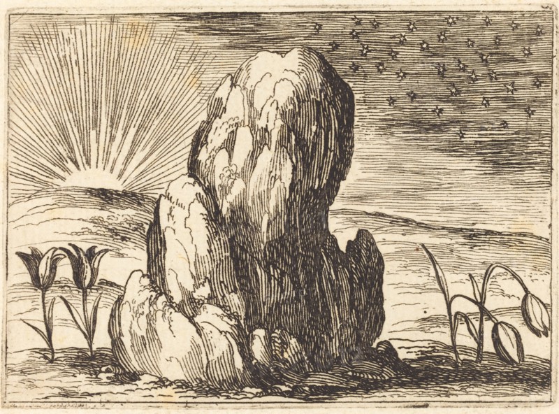 The Tulips and the Sun, 1628.