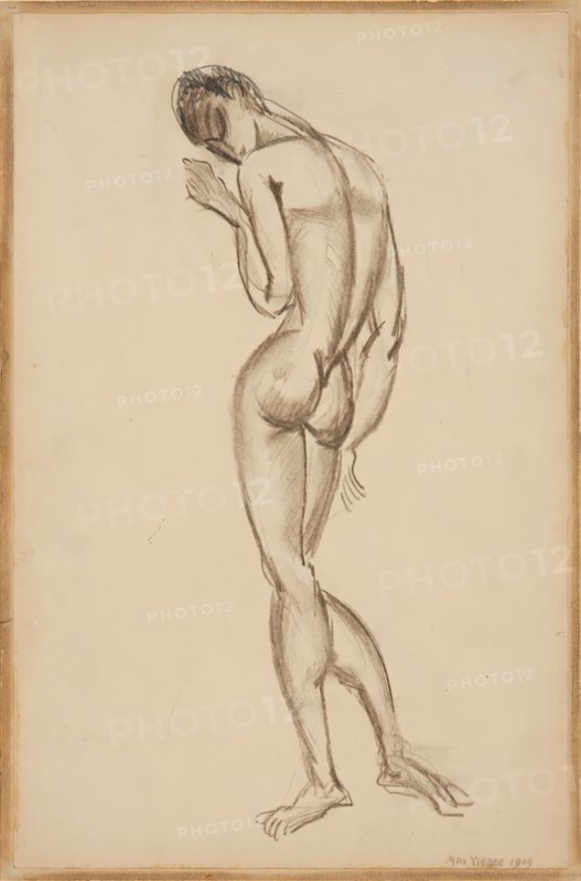 Female Nude, Back View, 1909.