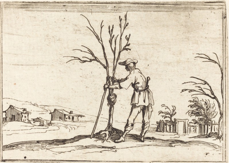 Gardener Pruning a Tree, 1628.
