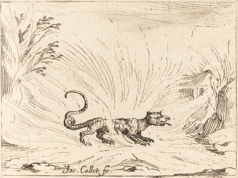 Salamander Surrounded by Flames.