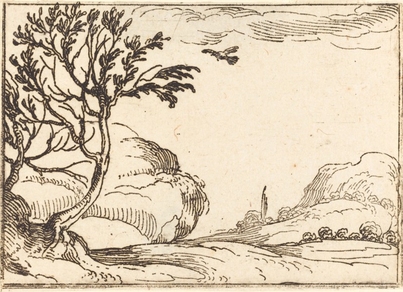 Turtle Dove Flying in the Desert.