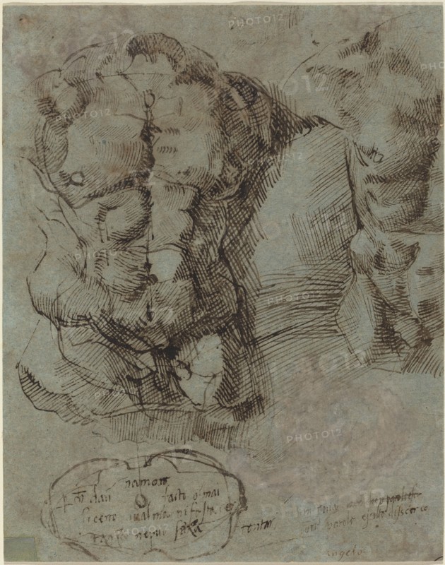 Studies of a Male Torso, c. 1524.