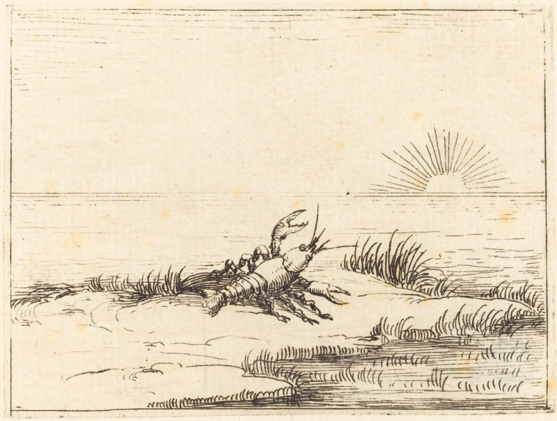Crayfish Looking at the Sun, 1628.