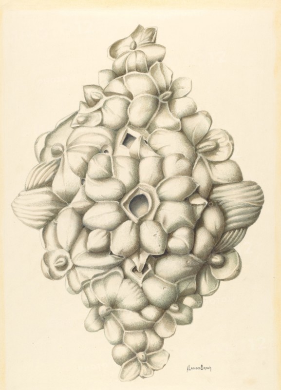 Bishop Hill: Ceiling Decoration, 1939.