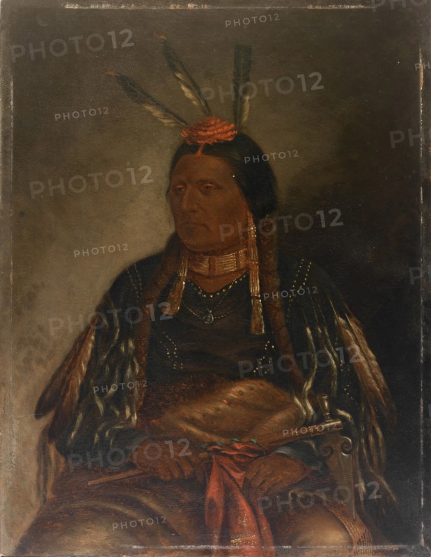 Che-tan-ce-ta (Yellow Hawk), ca. 1887.