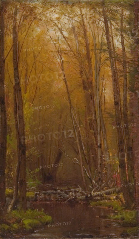 The Birches of the Catskills, ca. 1875.