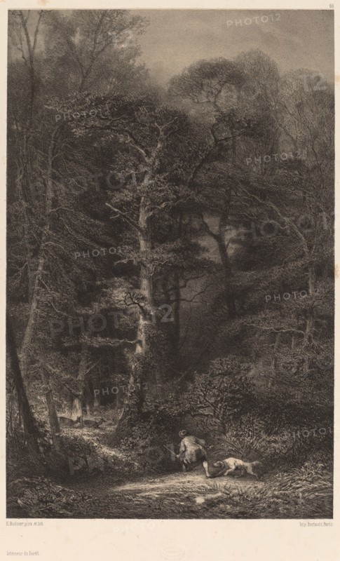 Intérieur de Forêt. [Inside the Forest].