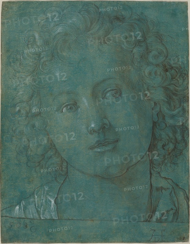 Head of a Boy, second half of 16th Century.