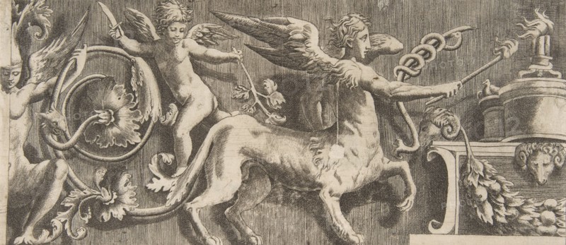 Ornament frieze with winged Centaur, 1531-76.
