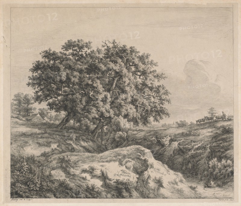 Le chêne au ravin (Oak Tree by a Ravine), 1845.