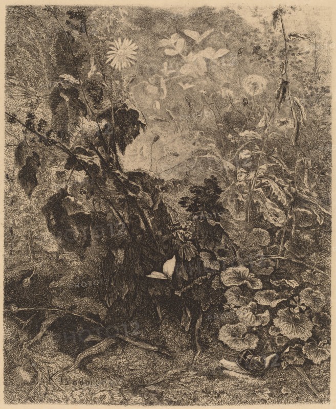 Escargots et papillons. [Snails and butterflies].