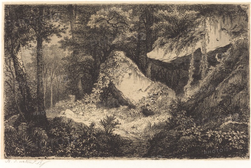 Les roches blanches (White Rocks), published 1849.
