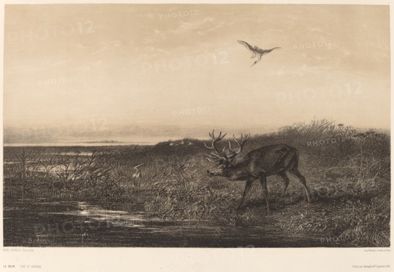 Le Soir. Cerf et Herons. [Evening. Stag and Herons].