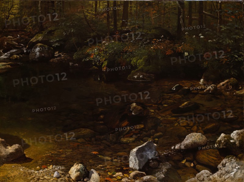 Shady Pool, White Mountains, New Hampshire, c. 1869.