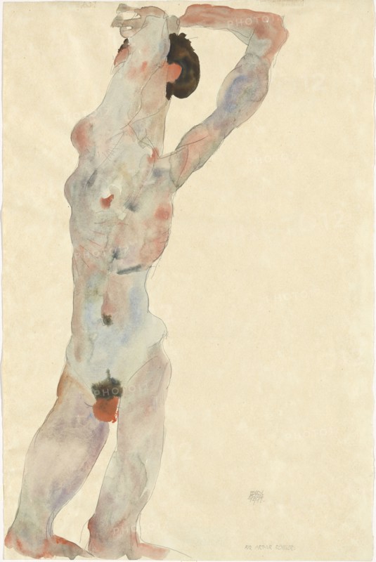 Male nude, 1912. Found in the collection of Vienna Museum.