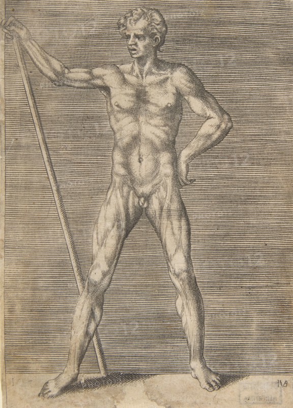 Flayed man seen from in front, holding a stick, ca. 1531-76.