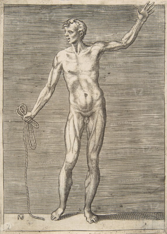 Man seen from the Front, holding a Rope in his right Hand, 16th century.