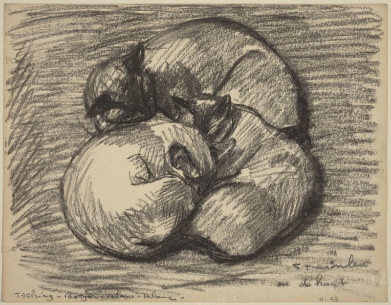 The Cats: Tsching, Batzar and Blanc-Blanc, late 19th-early 20th century.