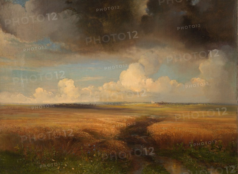 Rye field, 1881. Found in the collection of State Tretyakov Gallery, Moscow.