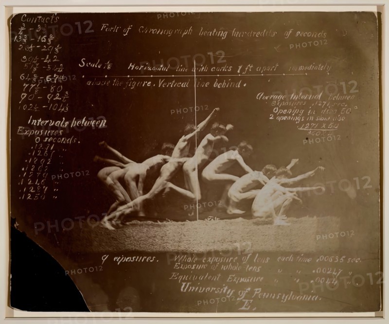 Marey Wheel Photographs of Unidentified Model, with Eadweard Muybridge Notations, 1884.