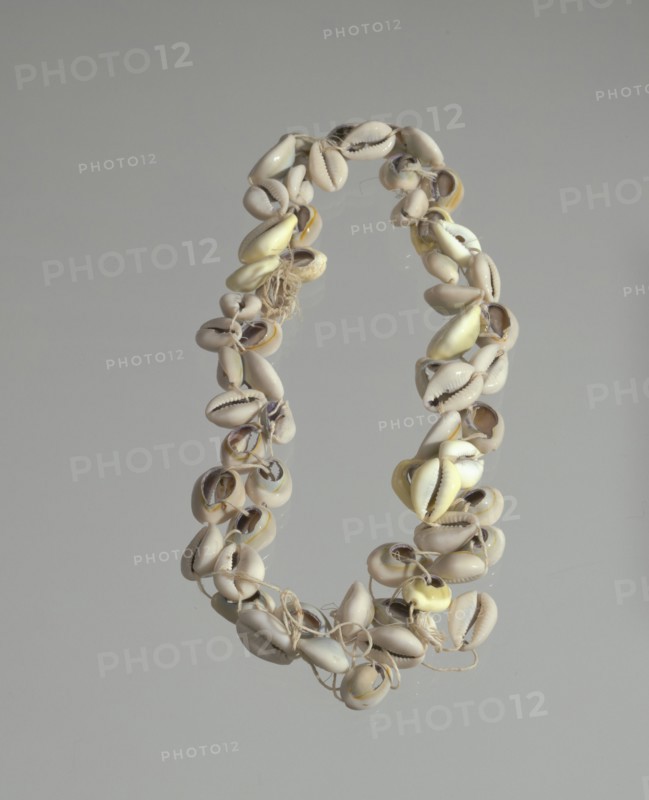 String of cowrie shells, 1800 - 1968. Creator: Unknown.
