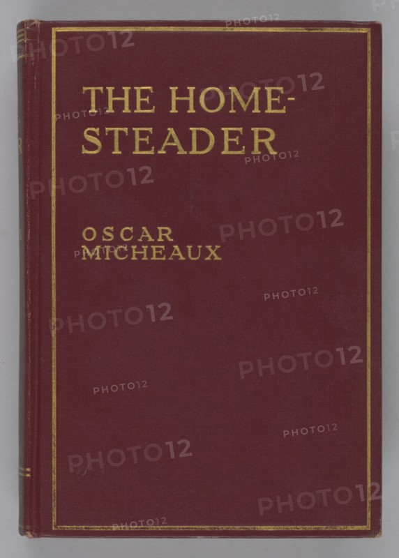 The Homesteader, 1917. Creator: Unknown.