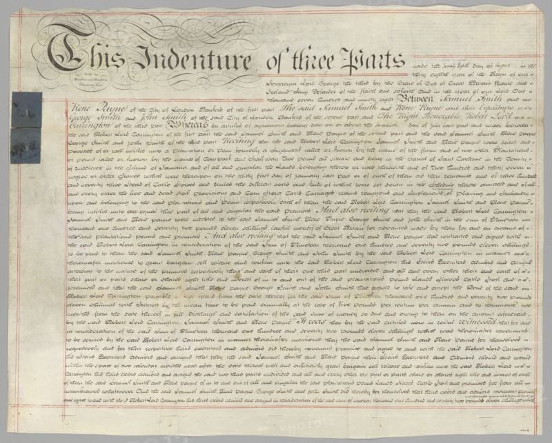 Deed of sale including 237 enslaved persons in transaction, August 20, 1798. Creator: Unknown.