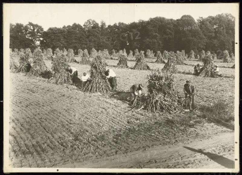 Untitled, ca. 1935. Creator: Lewis Wickes Hine.
