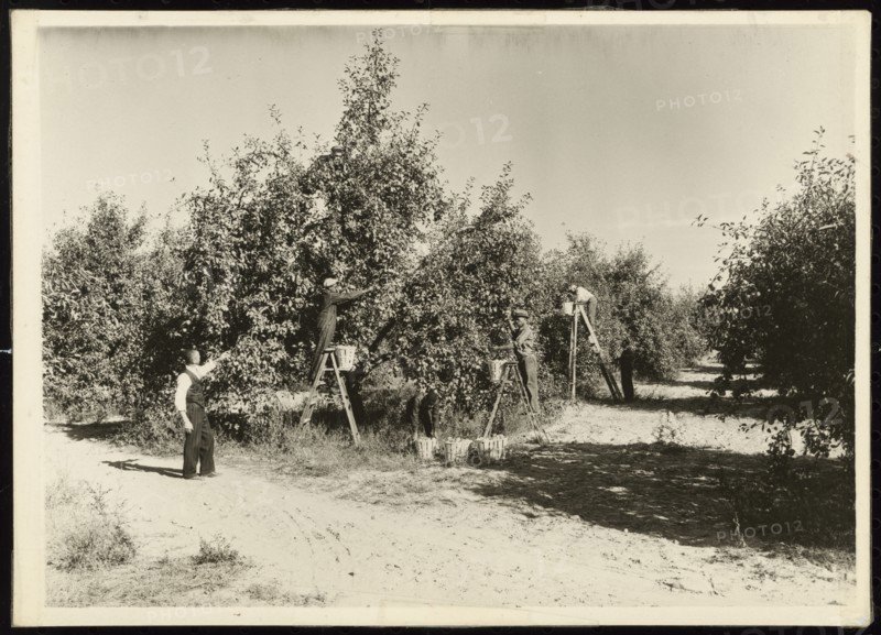 Untitled, ca. 1935. Creator: Lewis Wickes Hine.