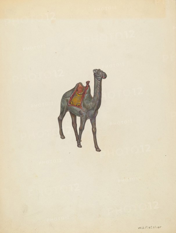 Bank Camel, c. 1940. Creator: William O. Fletcher.