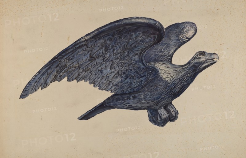 Eagle, 1935/1942. Creator: Elisabeth Fulda.