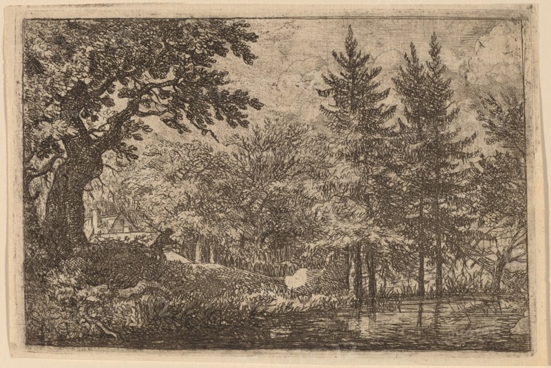 Fir Trees at the Water, probably c. 1645/1656. Creator: Allart van Everdingen.
