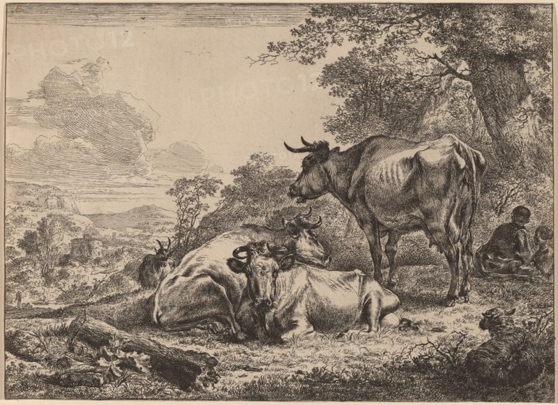 Resting Cows. Creator: Nicolaes Berchem.