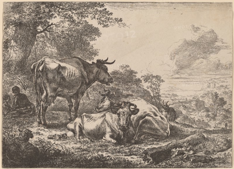 Resting Cows. Creator: Nicolaes Berchem.