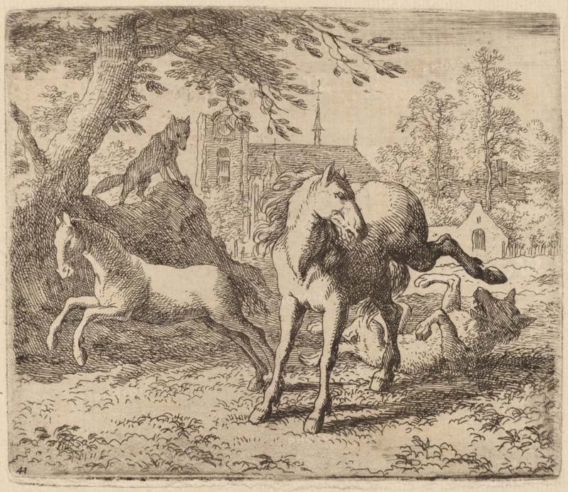 The Mare and the Wolf, probably c. 1645/1656. Creator: Allart van Everdingen.