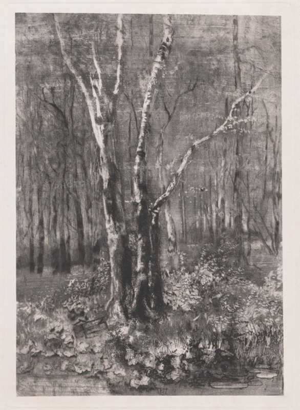 Woods in the Park near Monza, 1895. Creator: Mose, Bianchi.