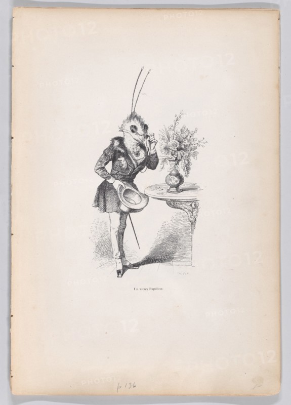 An Old Butterfly from Scenes from the Private and Public Life of Animals, ca. 1837-47. Creator: Jean Ignace Isidore Gerard.