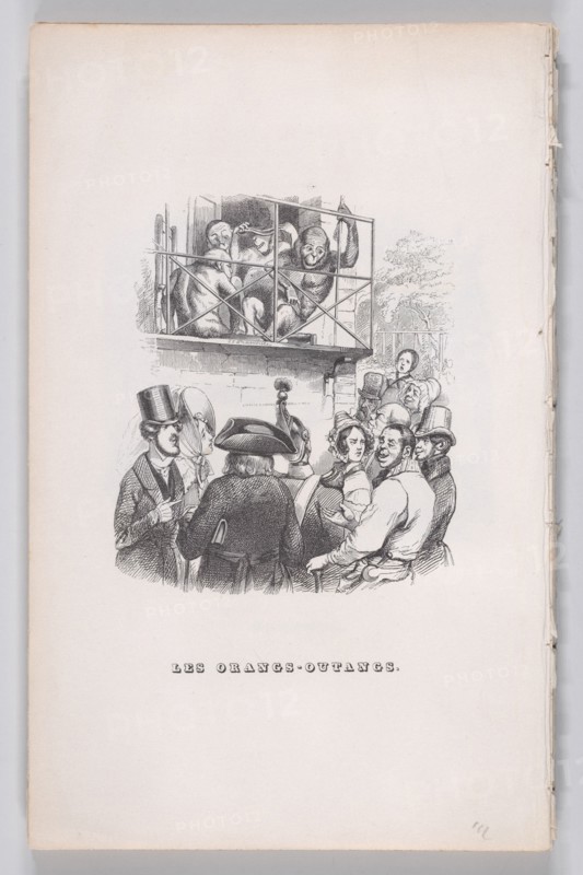 Orangutans from The Complete Works of Béranger, 1836. Creator: Jean Ignace Isidore Gerard.