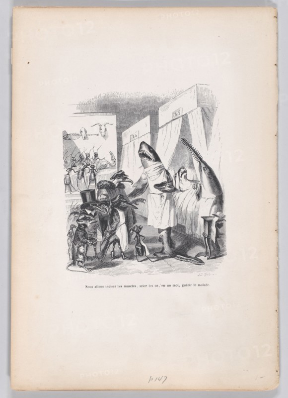 We are going to incise the muscles, saw the bones, in a word, heal the sick from Sc..., ca. 1837-47. Creator: Jean Ignace Isidore Gerard.
