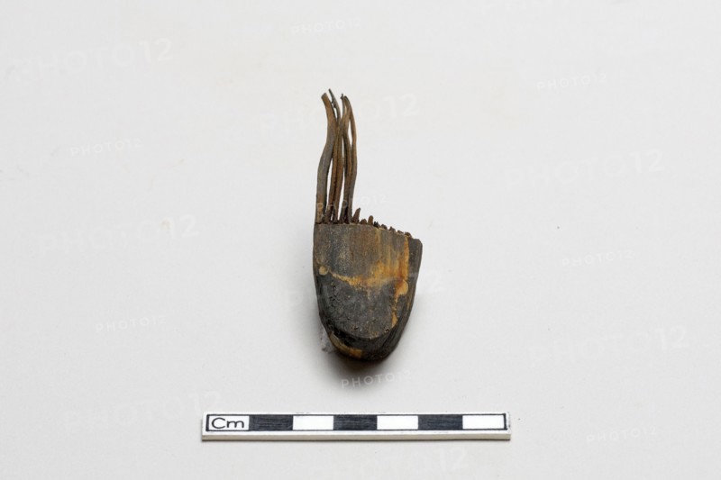 Comb, Warring States period, 5th-3rd century BCE. Creator: Unknown.